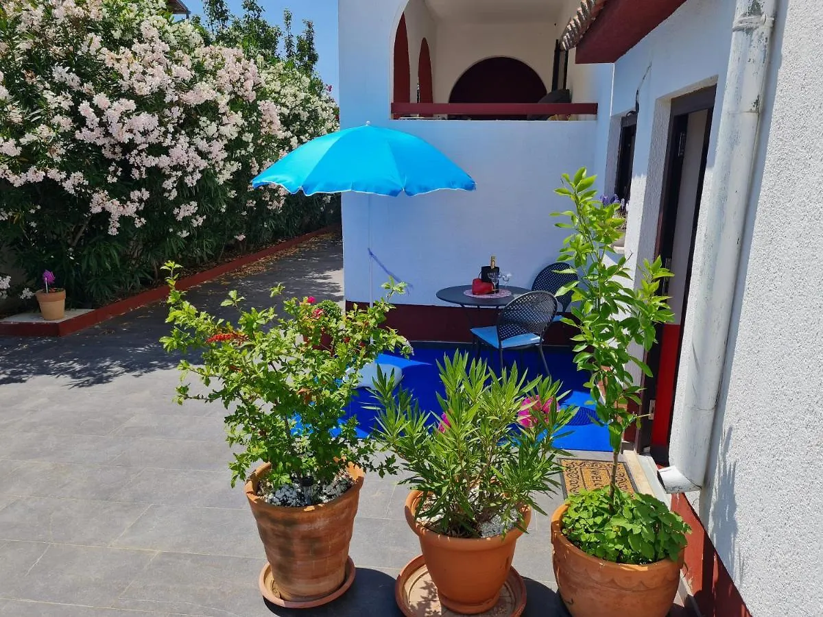 Apartments Gianna PUY 풀라